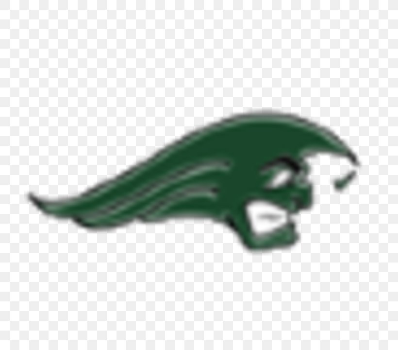 Greenville High School Stebbins High School Tulane Green Wave Football High School Football, PNG, 720x720px, Greenville High School, American Football, Claw, Green, Greenville Download Free