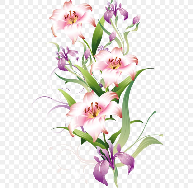 Lilium Bulbiferum Flower Clip Art, PNG, 567x800px, Lilium Bulbiferum, Color, Cut Flowers, Dendrobium, Floral Design Download Free