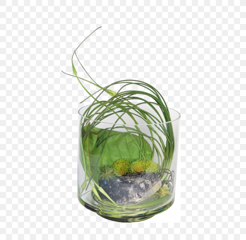 Table-glass Flowerpot Grasses Herb, PNG, 800x800px, Glass, Aquarium Decor, Drinkware, Family, Flowerpot Download Free