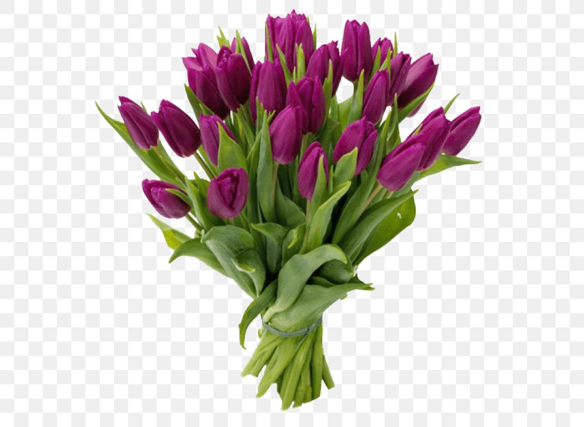 Tulip Flower Bouquet Gift Purple, PNG, 600x600px, Tulip, Birthday, Blue, Color, Cut Flowers Download Free