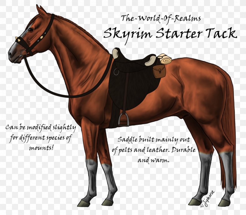 Arabian Horse Akhal-Teke Thoroughbred Stallion Colt, PNG, 1024x896px, Arabian Horse, Akhalteke, Bridle, Colt, Endurance Riding Download Free