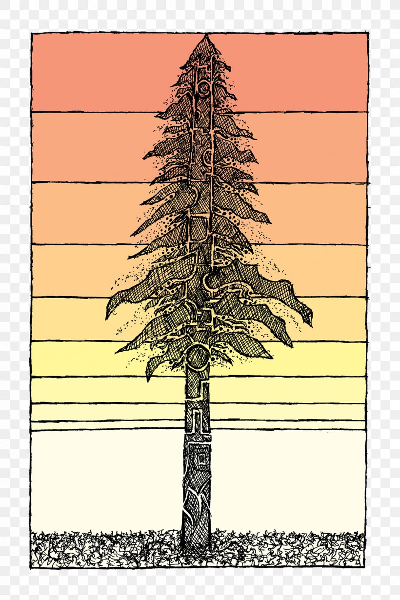 Tree Coast Redwood Drawing Plant Sketch, PNG, 1200x1800px, Tree, Art, Branch, Christmas Tree, Coast Redwood Download Free
