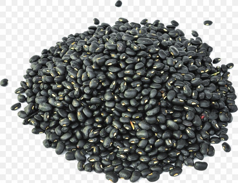 Black Turtle Bean Minestrone Sprouting, PNG, 882x678px, Bean, Black Turtle Bean, Coffee Bean, Lentil, Minestrone Download Free