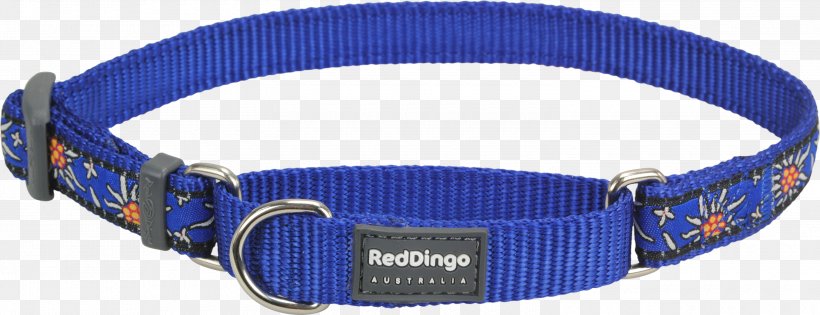 Dog Collar Dingo Martingale, PNG, 3000x1156px, Dog, Blue, Buckle, Choker, Clothing Accessories Download Free