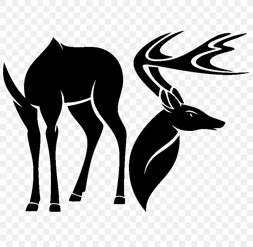 Red Deer White-tailed Deer Antler, PNG, 800x800px, Deer, Antelope, Antler, Art, Black And White Download Free