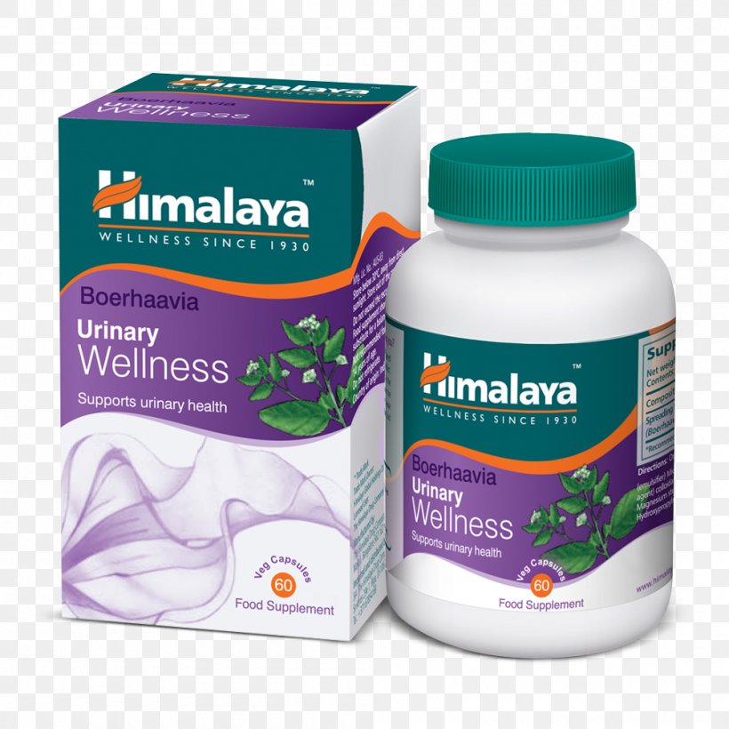Dietary Supplement The Himalaya Drug Company Rennet Bindii Health, PNG, 1000x1000px, Dietary Supplement, Bindii, Capsule, Health, Health Fitness And Wellness Download Free