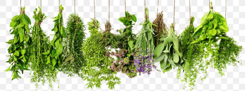 Herb Mediterranean Cuisine Clip Art, PNG, 1200x445px, Herb, Basil, Fines Herbes, Flavor, Food Download Free