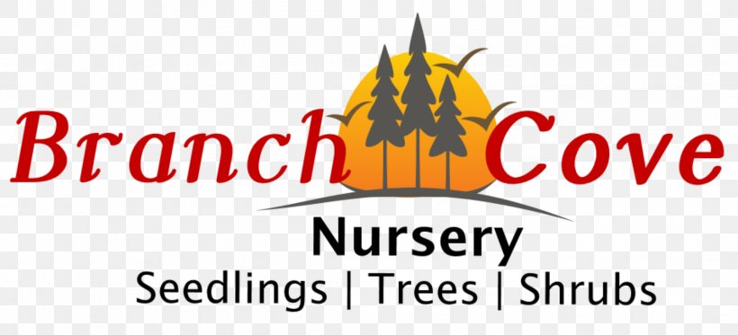 Branch Cove Nursery Tree Cutting Seedling, PNG, 2181x994px, Nursery, Area, Artwork, Branch, Brand Download Free