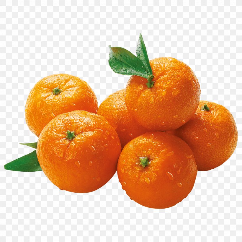 Clementine Mandarin Orange REWE Bio Broccoli Tangerine, PNG, 1600x1600px, Clementine, Bitter Orange, Calamondin, Citric Acid, Citrus Download Free