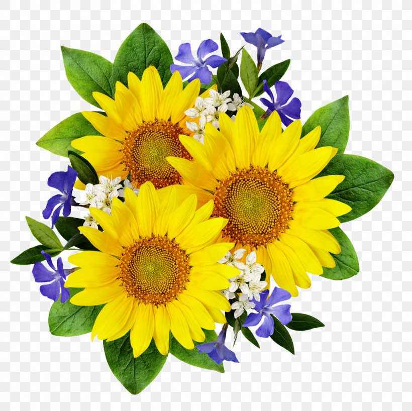 Common Sunflower Stock Photography Flower Bouquet, PNG, 1024x1022px, Flower, Annual Plant, Chrysanthemum, Common Sunflower, Cut Flowers Download Free