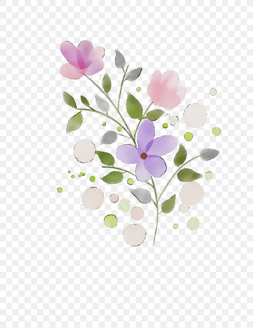 Flower Petal Plant Violet Branch, PNG, 1112x1440px, Spring Flower, Blossom, Branch, Flower, Flowers Download Free