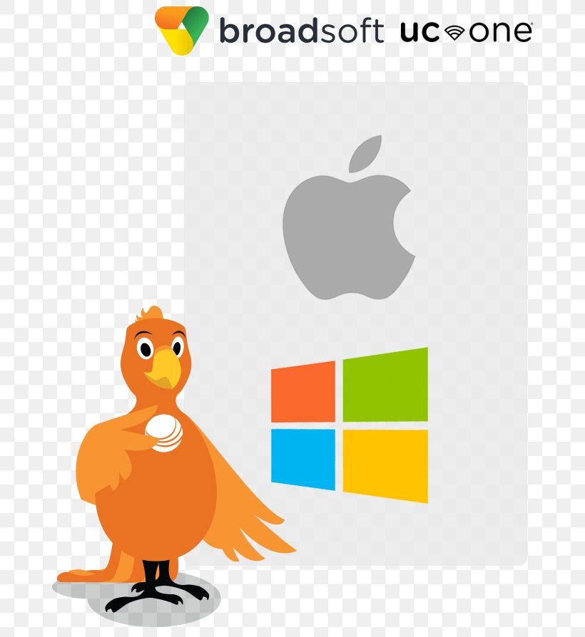 Microsoft Business Window SIP Trunking, PNG, 692x894px, Microsoft, Apple, Area, Beak, Bird Download Free