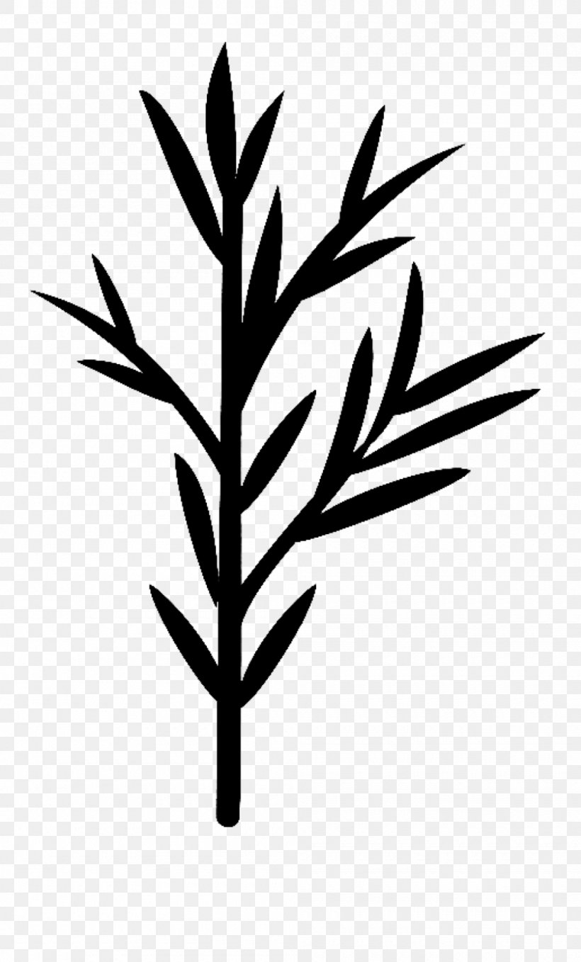 Plant Stem Leaf Flower Font Commodity, PNG, 1000x1657px, Plant Stem, American Larch, Blackandwhite, Botany, Branch Download Free