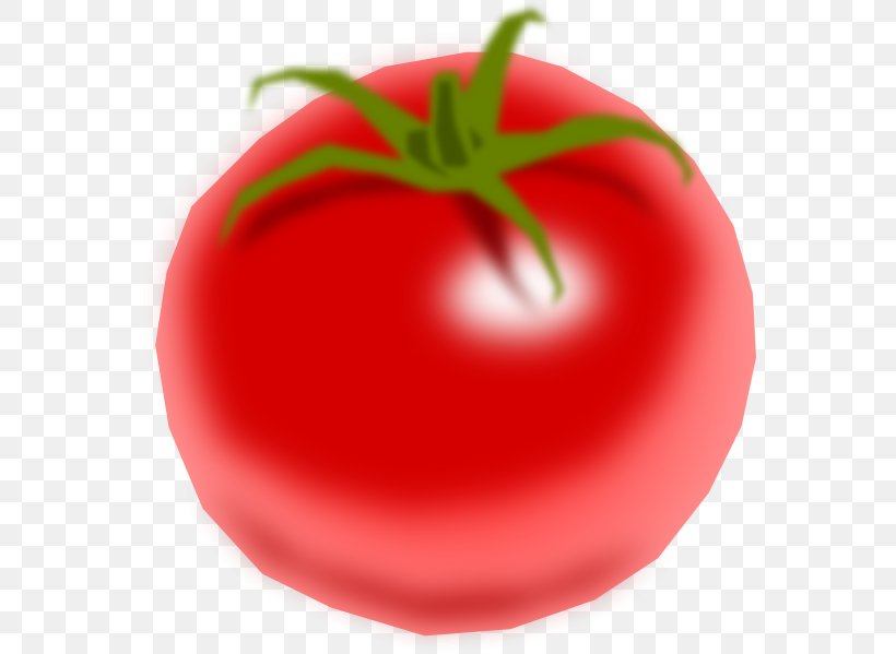 Tomato Vegetable Clip Art, PNG, 564x599px, Tomato, Apple, Bell Pepper, Bush Tomato, Diet Food Download Free