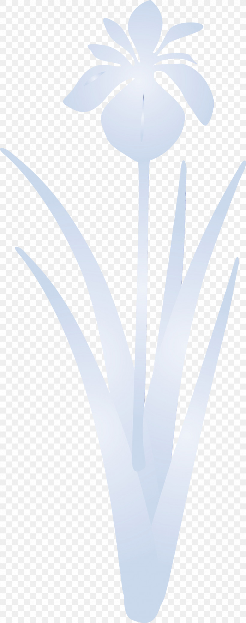 White Plant, PNG, 1183x3000px, Iris Flower, Paint, Plant, Spring Flower, Watercolor Download Free