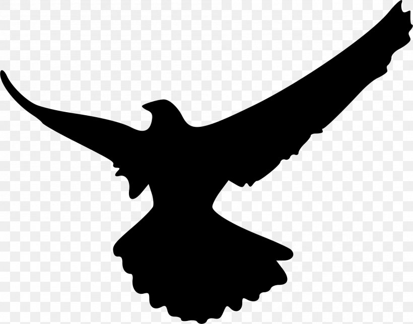 Falcon Silhouette Bird Clip Art, PNG, 1896x1490px, Falcon, Beak, Bird, Bird Of Prey, Black And White Download Free