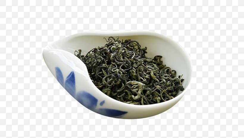 Green Tea Xinyang Maojian Tea Biluochun Tea Horse Road, PNG, 640x464px, Tea, Biluochun, Black Tea, Bowl, Camellia Sinensis Download Free