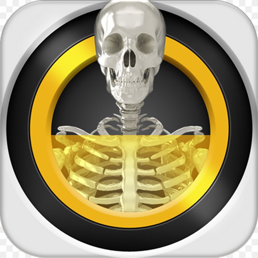 Real X-ray Scanner Simulator Backscatter X-ray Android, PNG, 1024x1024px, Real Xray Scanner Simulator, Android, App Store, Apple, Backscatter Xray Download Free