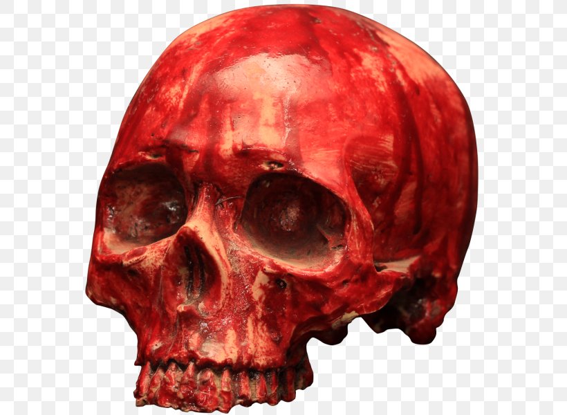 Skull Blood Skeleton Bone 骷髅, PNG, 600x600px, Watercolor, Cartoon, Flower, Frame, Heart Download Free