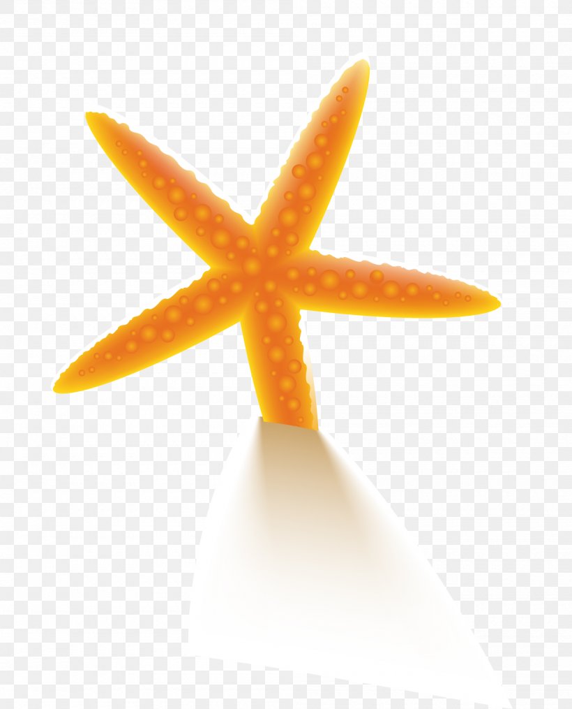 Starfish, PNG, 2000x2477px, Starfish, Cartoon, Designer, Orange, Painting Download Free