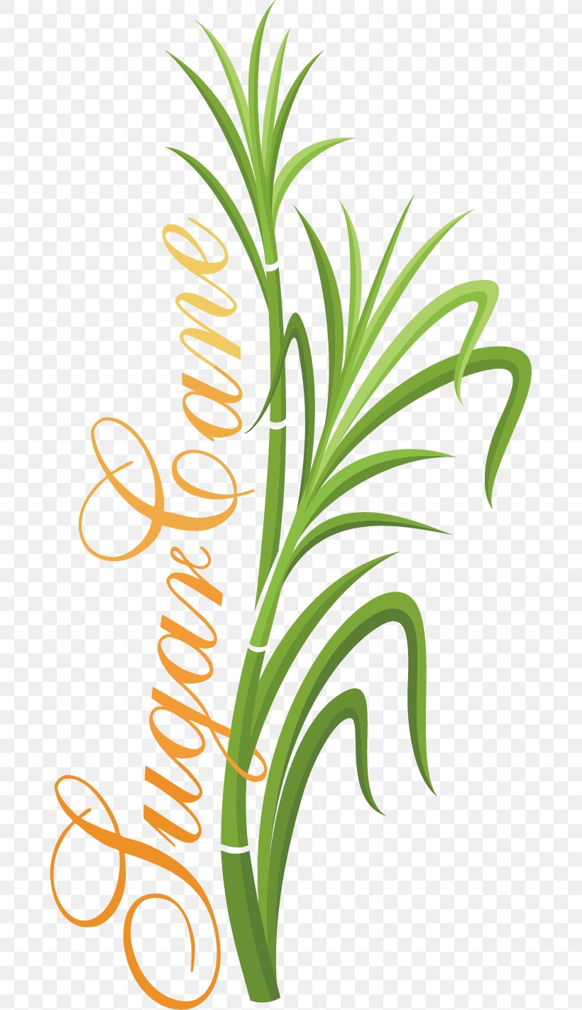 Grasses Euclidean Vector, PNG, 679x1422px, Grasses, Element, Flower, Flowering Plant, Flowerpot Download Free