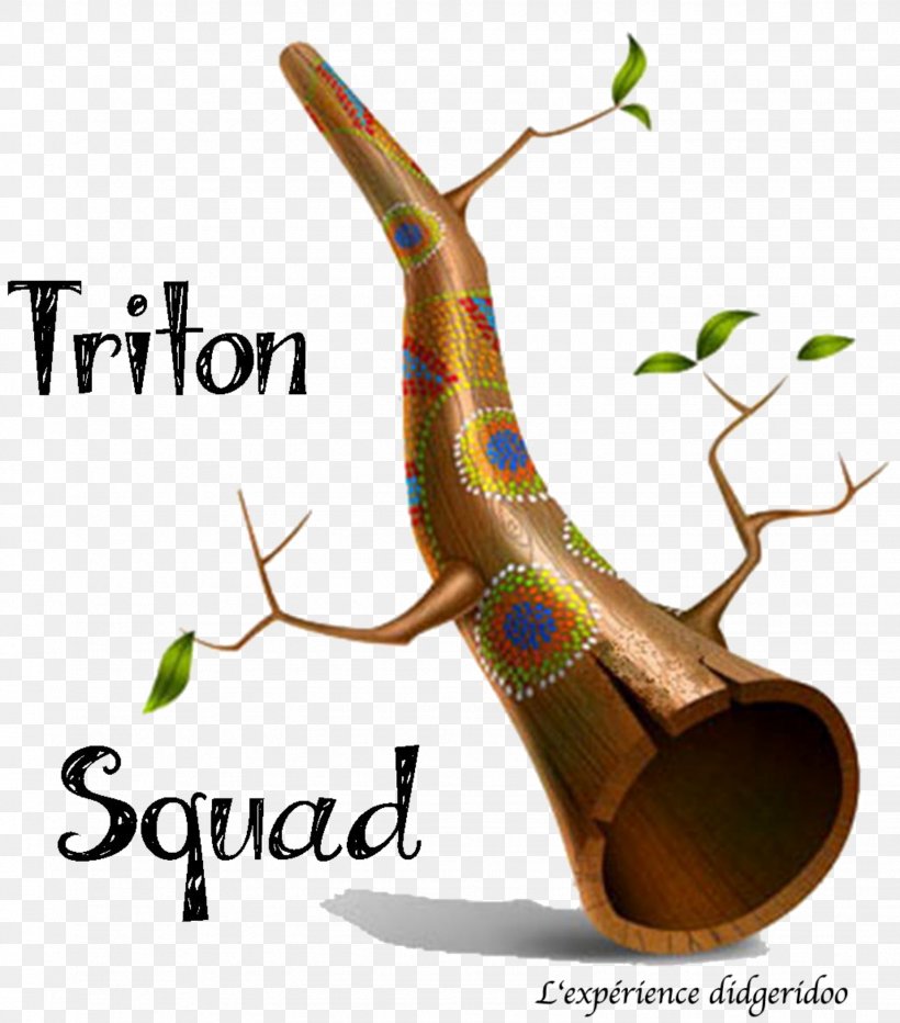 Triton Squad Gőték Concert Didgeridoo Tree, PNG, 1534x1744px, Concert, Alsace, Child, Didgeridoo, Hand Download Free
