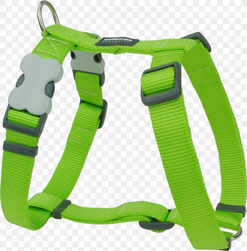 Dog Harness Dingo Puppy Dog Collar, PNG, 3000x3046px, Dog, Climbing Harness, Collar, Dingo, Dog Breed Download Free