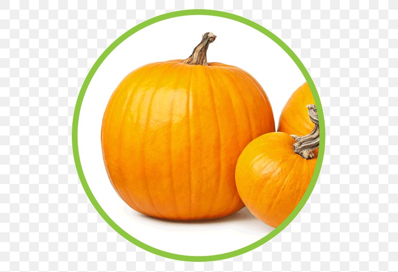 Jack-o'-lantern Calabaza Gourd Winter Squash Pumpkin, PNG, 562x562px, Calabaza, Commodity, Cucumber Gourd And Melon Family, Cucurbita, Food Download Free