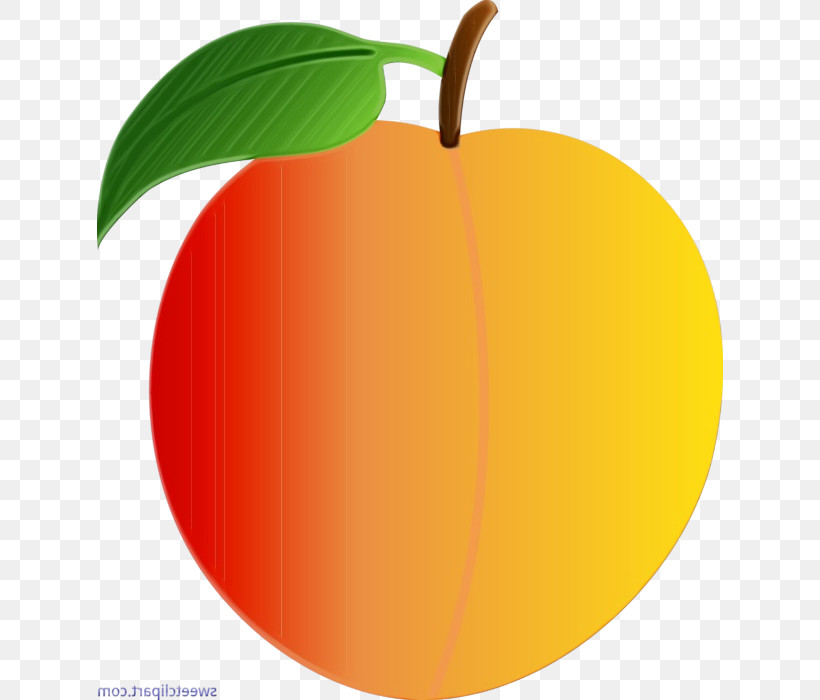 Orange, PNG, 626x700px, Watercolor, Apple, Drupe, Food, Fruit Download Free