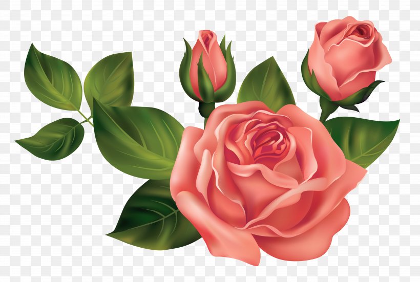 Rose Clip Art, PNG, 4985x3354px, Rose, Artificial Flower, Concepteur, Cut Flowers, Design Pattern Download Free