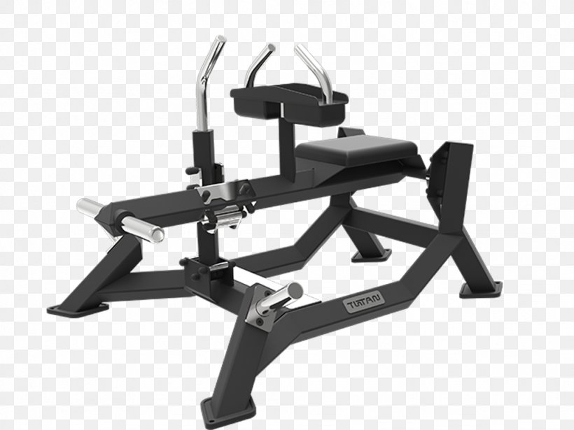 Calf Raises Fitness Centre Weight Training Exercise, PNG, 1024x768px, Calf Raises, Automotive Exterior, Bench, Calf, Exercise Download Free