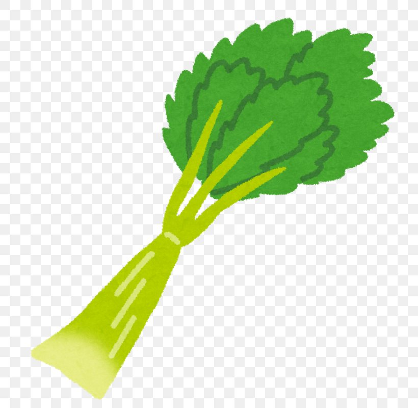 Celery Food Vegetable Dietary Fiber Beta-Carotene, PNG, 772x800px, Celery, Asazuke, Bamboo Shoot, Betacarotene, Dietary Fiber Download Free