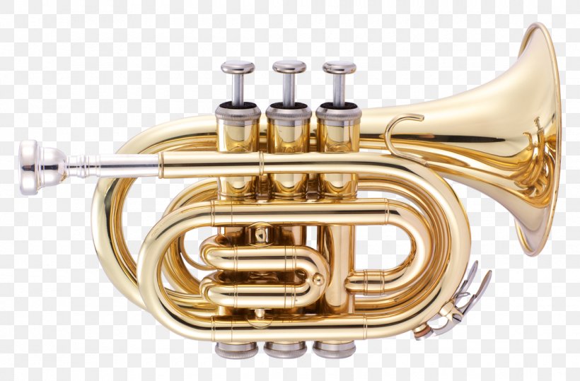 Cornet Pocket Trumpet Musical Instruments Brass Instruments, PNG, 1120x737px, Watercolor, Cartoon, Flower, Frame, Heart Download Free
