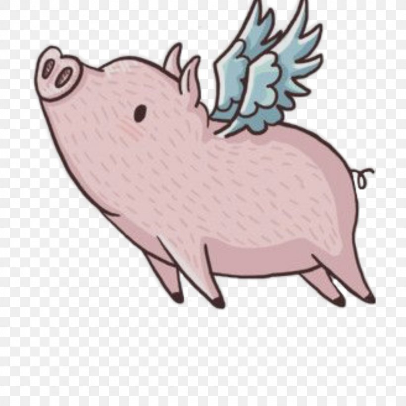 Pig Wing Image Miniature Pig When Pigs Fly, PNG, 1024x1024px, Pig, Boar, Cartoon, Domestic Pig, Drawing Download Free
