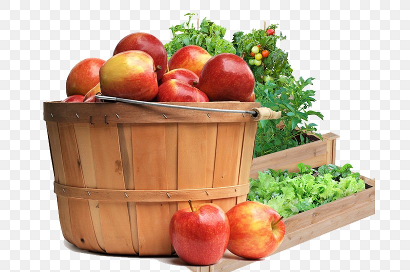 Raised-bed Gardening Fence The Home Depot, PNG, 680x544px, Raisedbed Gardening, Apple, Bed, Building, Diet Food Download Free