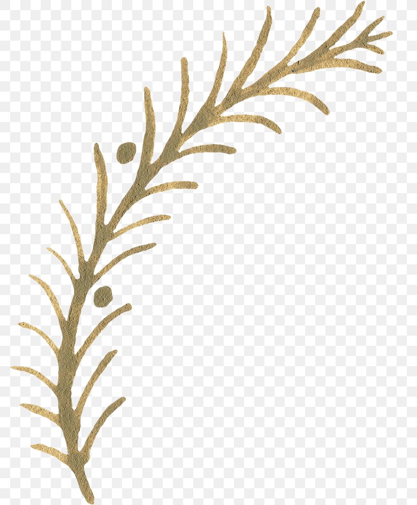 Twig Pattern, PNG, 782x993px, Twig, Branch, Leaf, Plant Stem, Tree Download Free