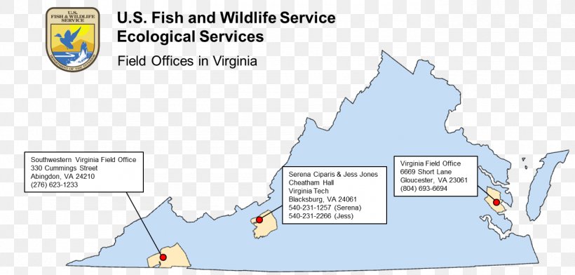 United States Fish And Wildlife Service Virginia Chesapeake Bay Sunderland U.S. Fish & Wildlife Service, PNG, 1380x660px, Virginia, Area, Chesapeake Bay, Diagram, Fish Download Free
