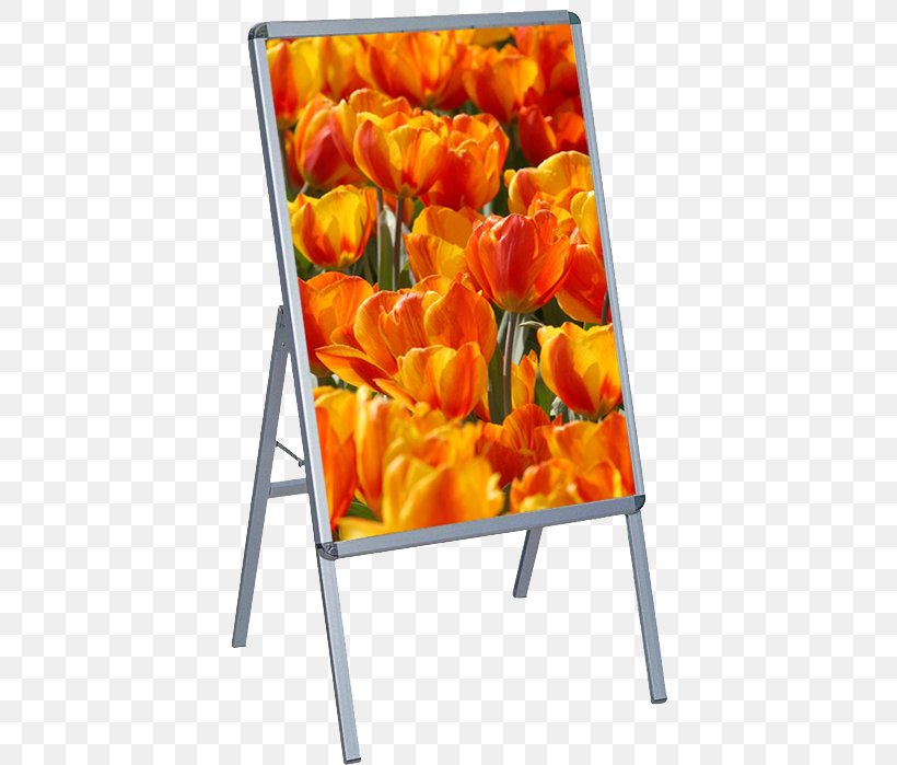 Tulip Clic-clac Cut Flowers Orange S.A., PNG, 400x699px, Tulip, Clicclac, Cut Flowers, Flower, Flowering Plant Download Free