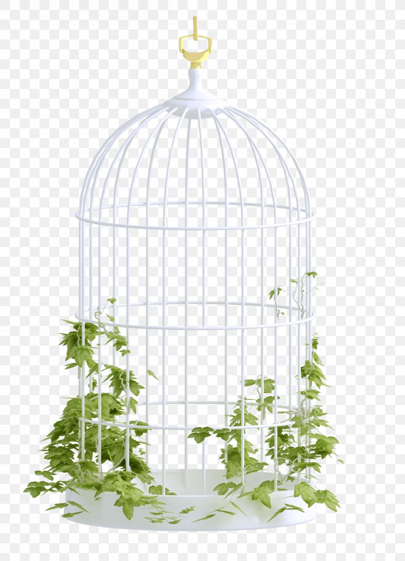 Birdcage Clip Art, PNG, 1206x1671px, Bird, Albom, Birdcage, Cage, File Viewer Download Free