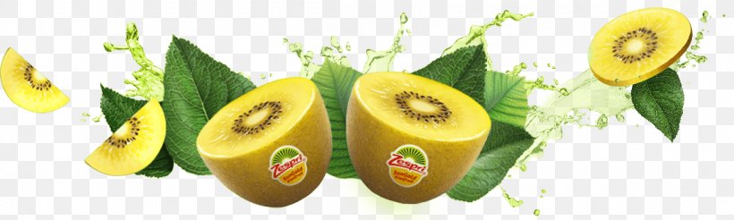 Kiwifruit Zespri International Limited Banana, PNG, 1150x345px, Kiwifruit, Auglis, Banana, Banana Family, Diet Food Download Free