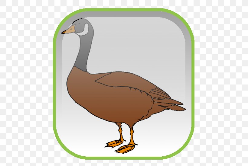 Mallard Goose Duck Desktop Wallpaper Clip Art, PNG, 500x550px, Mallard, Beak, Bird, Drawing, Duck Download Free