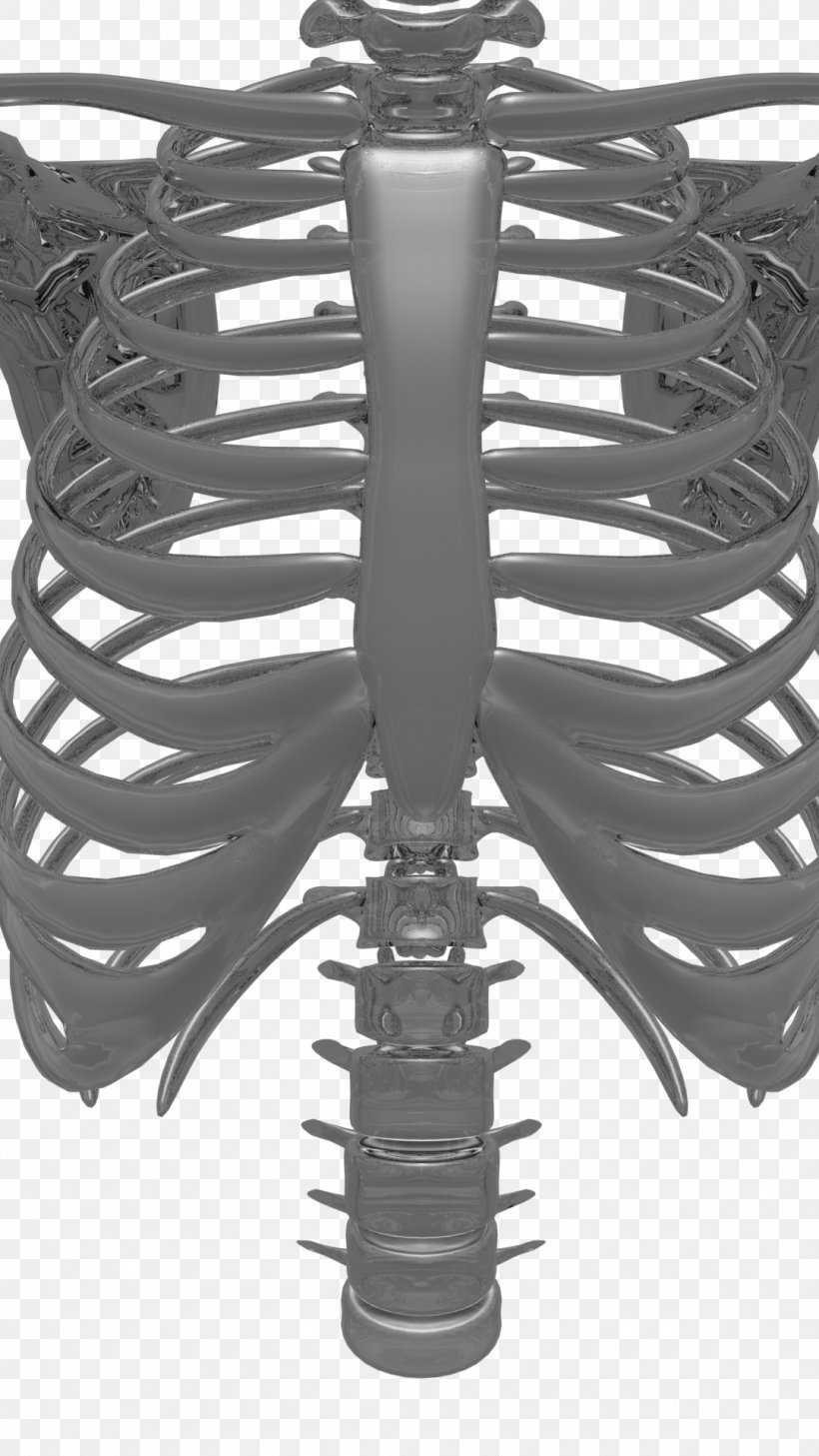Product Design Skeleton Black, PNG, 1080x1920px, Skeleton, Black, Black And White Download Free