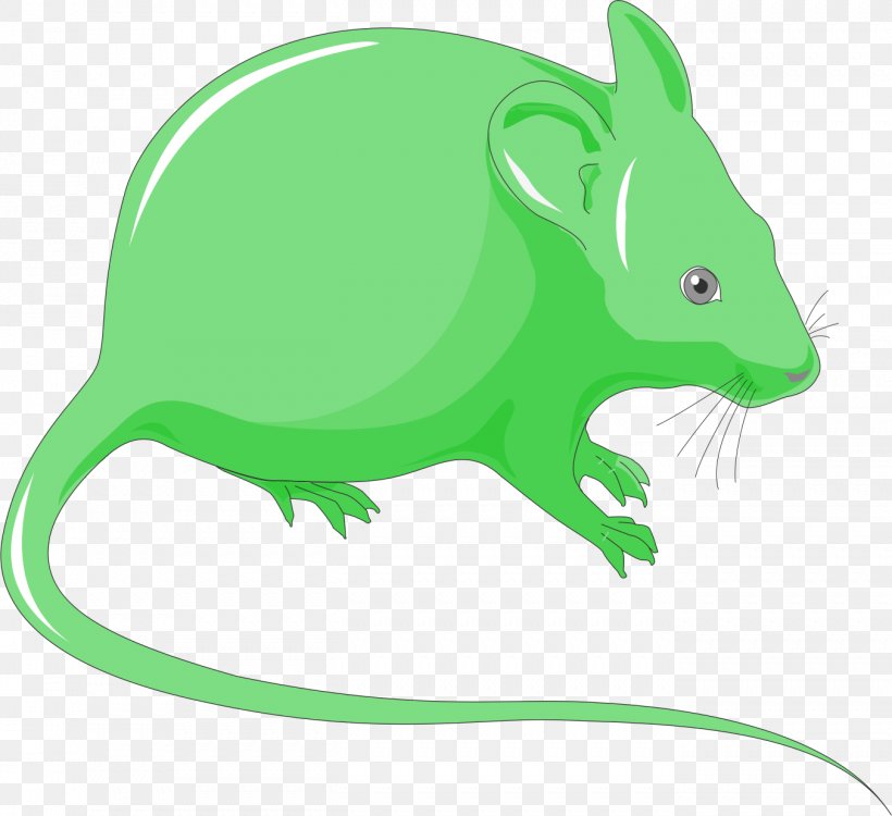 Rat Gerbil Clip Art Whiskers Image, PNG, 1353x1239px, Rat, Animal, Biology, Carnivoran, Character Download Free