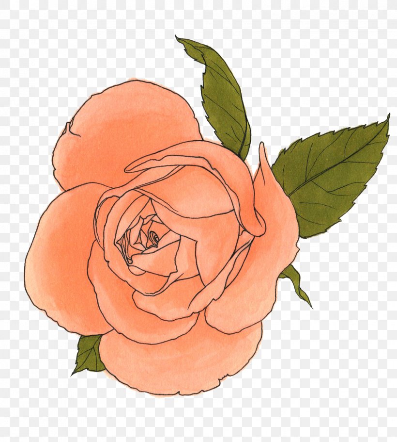 Art Drawing Garden Roses, PNG, 1429x1588px, Art, Artist, Centifolia Roses, Cut Flowers, Drawing Download Free