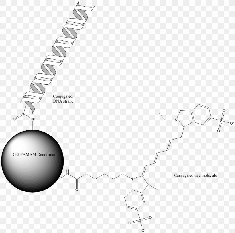 Brand Line Angle, PNG, 1039x1031px, Brand, Area, Black And White, Diagram, Text Download Free