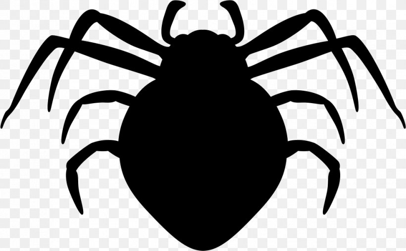 Spider Borders And Frames Vector Graphics Clip Art Southern Black Widow, PNG, 981x606px, Spider, Arachnid, Arthropod, Black And White, Borders And Frames Download Free