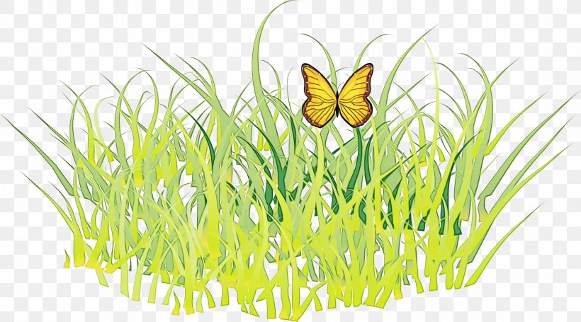 Watercolor Flower Background, PNG, 2174x1207px, Watercolor, Aquarium, Aquatic Plants, Brushfooted Butterflies, Butterfly Download Free