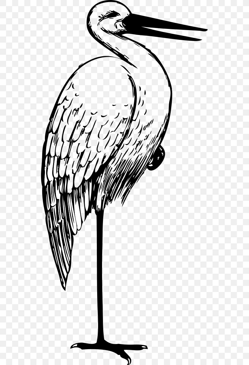 White Stork Drawing Clip Art, PNG, 549x1200px, White Stork, Art, Beak, Bird, Black And White Download Free