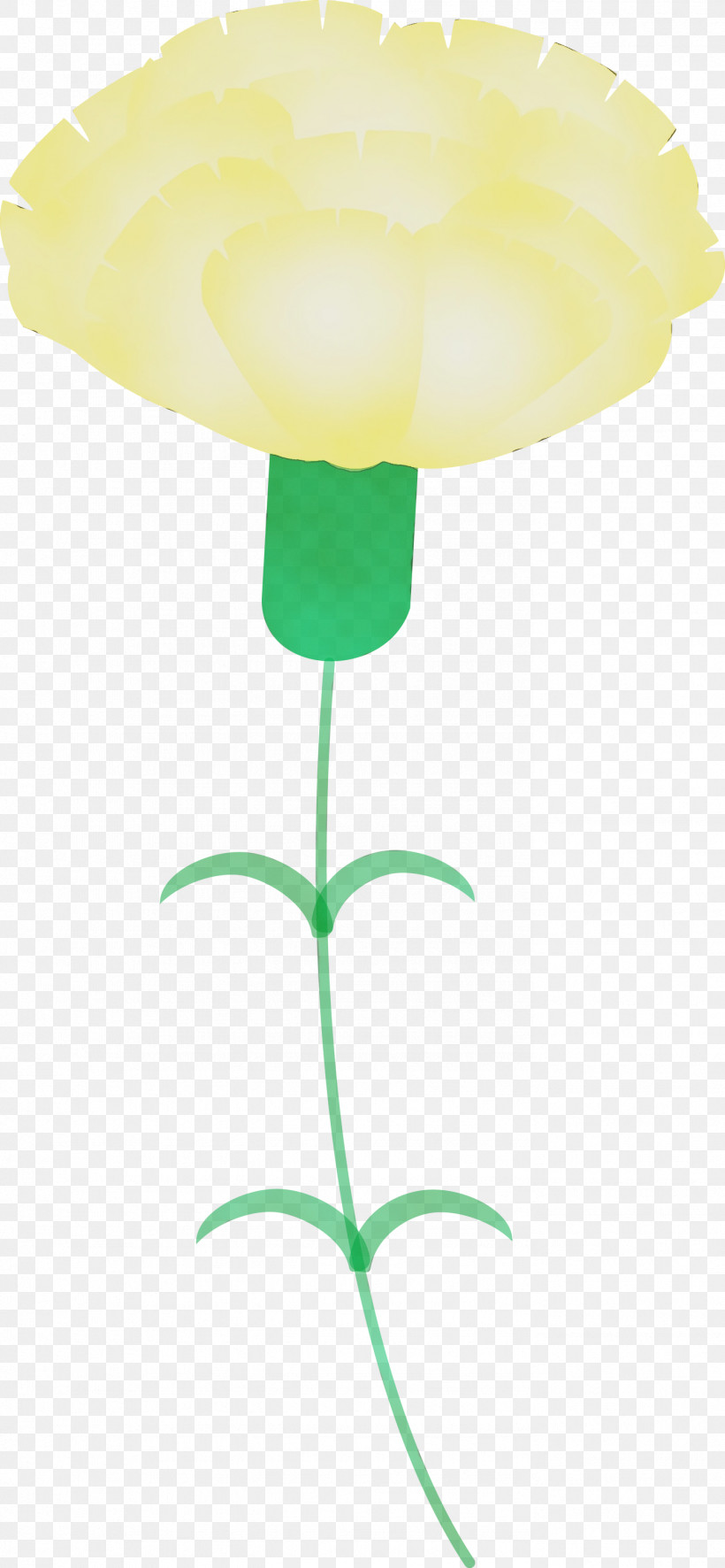 Yellow Plant Flower Tulip Plant Stem, PNG, 1388x3000px, Mothers Day Carnation, Balloon, Flower, Mothers Day Flower, Paint Download Free