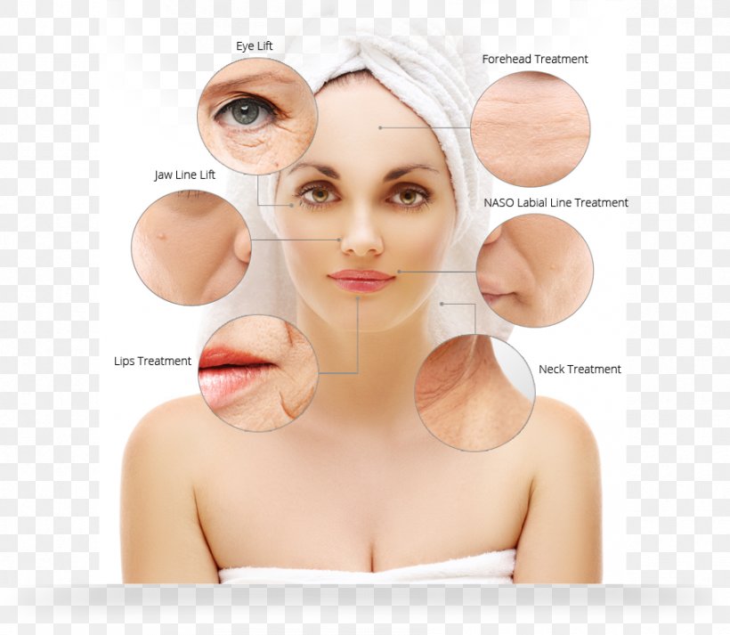 Cheek Skin Forehead Exfoliation Beauty, PNG, 890x774px, Cheek, Bacteria, Beauty, Beauty Parlour, Chin Download Free